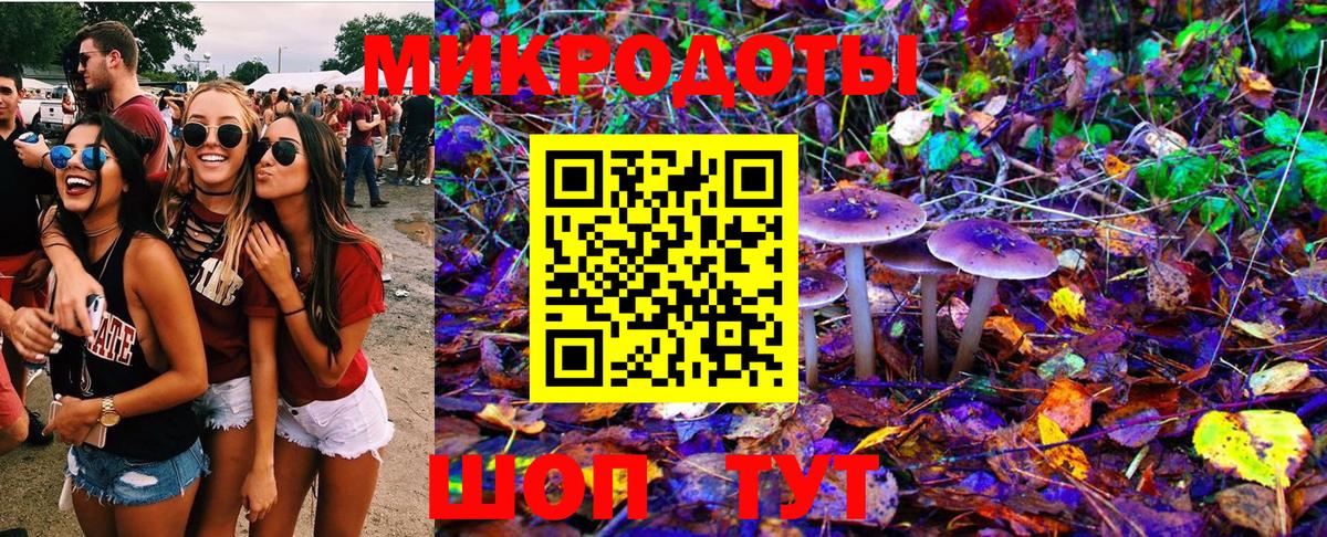 Галлюциногенные грибы Psilocybine cubensis Кунгур