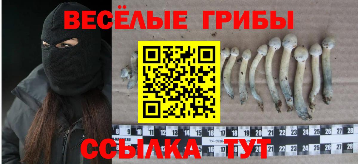 Кунгур  Галлюциногенные грибы ЛСД  Галлюциногенные грибы мицелий  Вход с VPN 