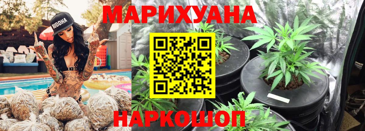Кунгур  Бошки марихуана Bruce Banner  Вход с VPN  Бошки марихуана AK-47  Каннабис Amnesia 
